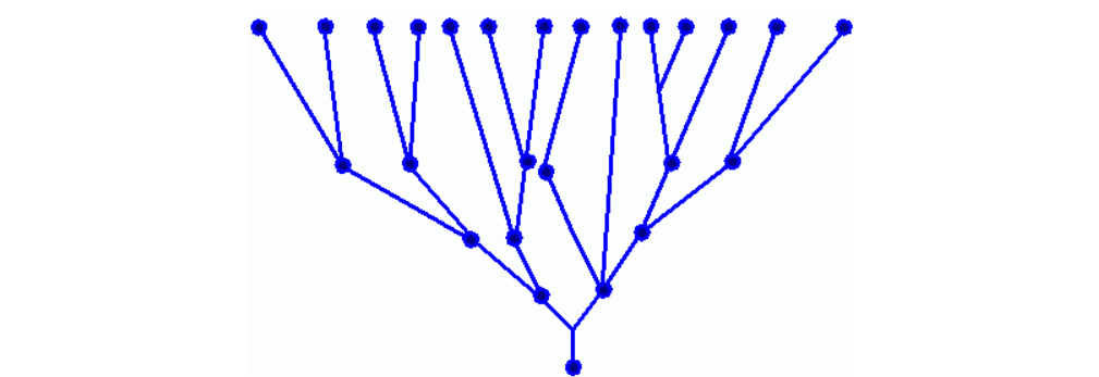 Branching structure figure